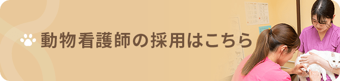 動物看護師の採用はこちら