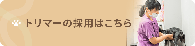 トリマーの採用はこちら